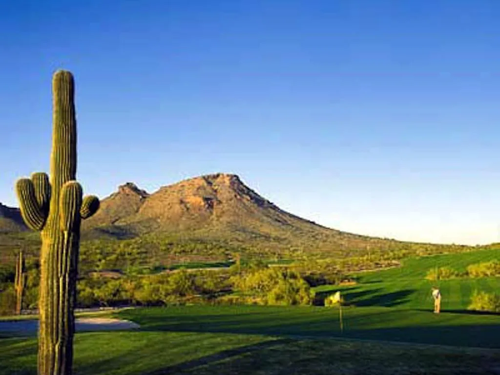 Private Corner Of Resort -- ½ Mile Walk To Nature Trails At N. Mtn. Preserve! Phoenix United States